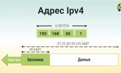 Информация по IP-4 адресам