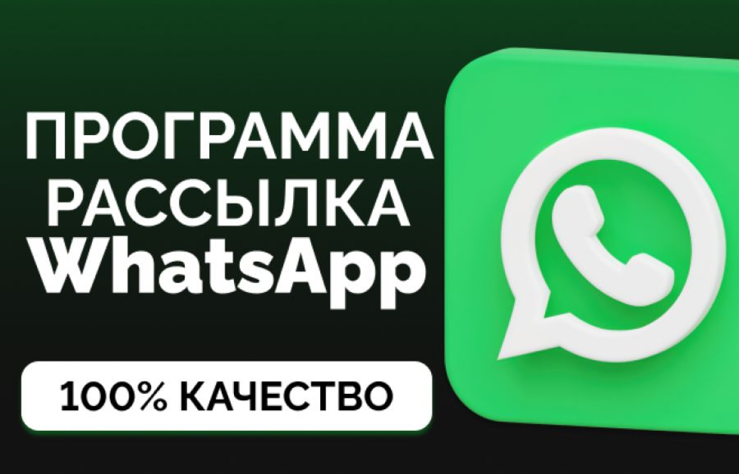 Программа для рассылки сообщений через Whatsapp