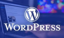 Восстановление работы вашего сайта на Wordpress